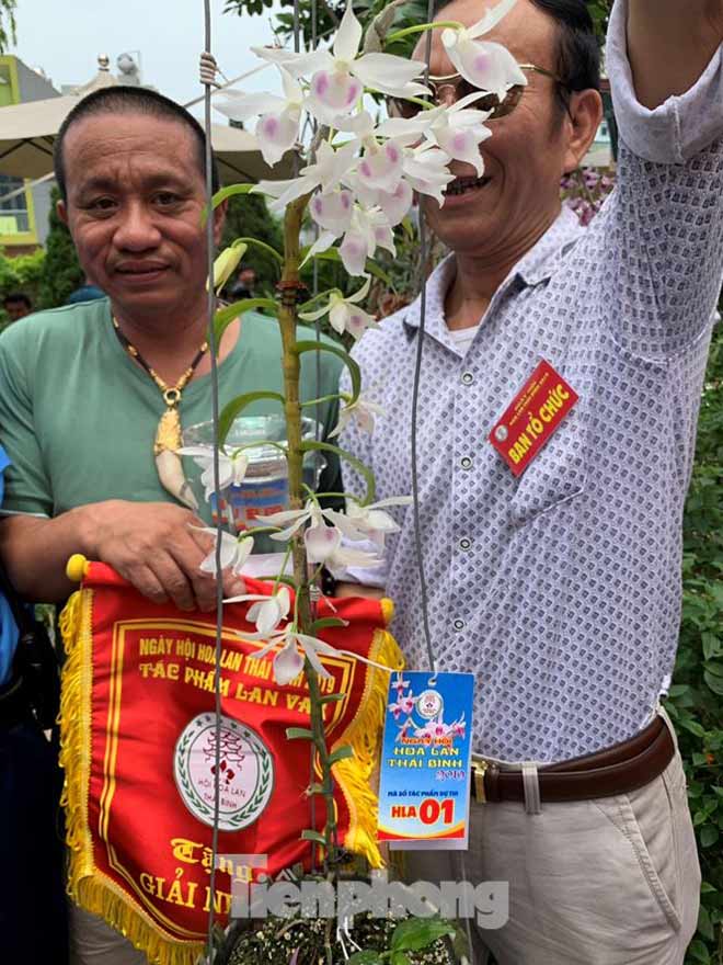 Những giò lan tiền tỷ tại Ngày hội hoa lan Thái Bình - 5