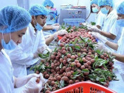 Thị trường - Tiêu dùng - Ôm trái đắng vì bán hàng nhưng lơ mơ về luật