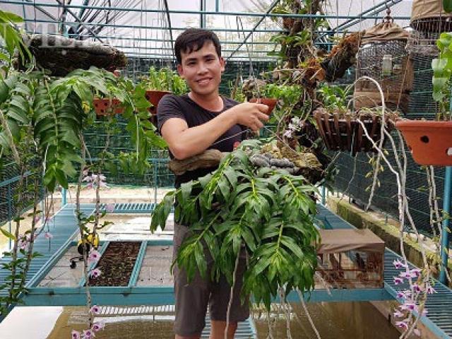 Thị trường - Tiêu dùng - Từ giò phi điệp bạn cho, sau 4 năm làm nên vườn lan rừng tiền tỷ