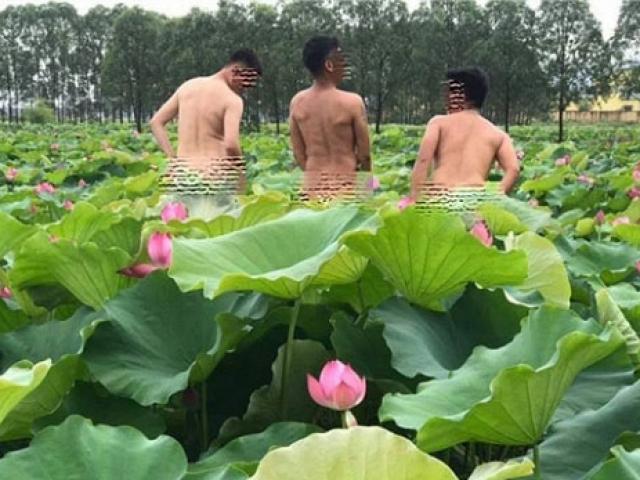 Bạn trẻ - Cuộc sống - 4 thợ ảnh cởi trần, chụp ảnh 'hở bạo' ở đầm sen gây phẫn nộ