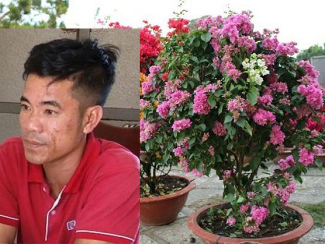 Pháp luật - Đột nhập lăng mộ trộm cây hoa giấy trị giá 80 triệu đồng