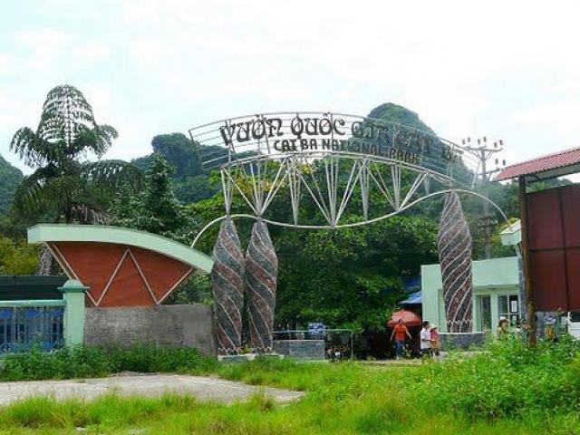 Du lịch - Vườn quốc gia Cát Bà nằm ở đâu, có gì đặc biệt?