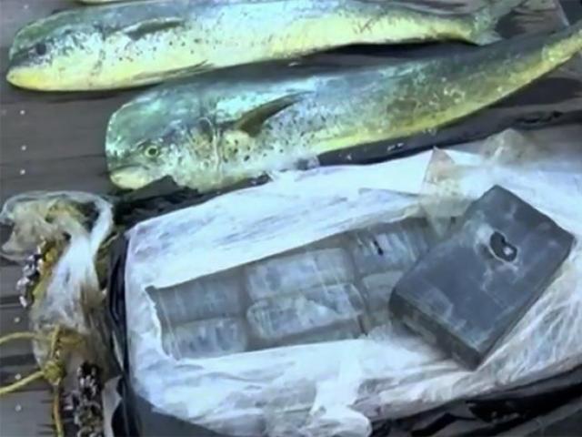 Phi thường - kỳ quặc - Thấy cá nhảy liên tục, mò lại xem, phát hiện điều đáng sợ dưới mặt nước