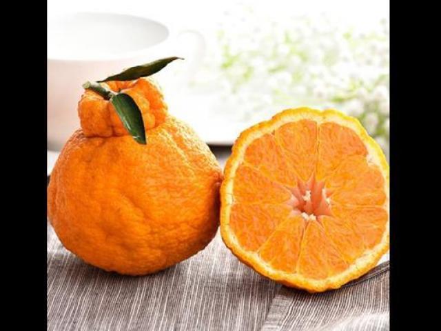 Thị trường - Tiêu dùng - Những mặt hàng đắt có tiếng ở quê hương của HLV Park Hang Seo