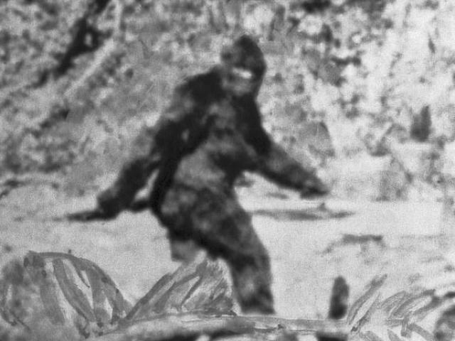 Thế giới - Cuộc điều tra suốt 2 năm của FBI về quái vật huyền thoại Chân to