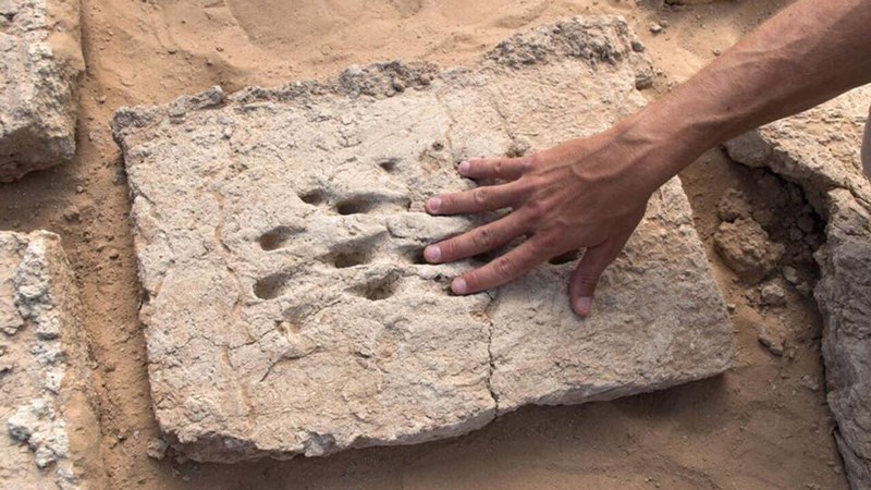 Dấu vân tay 3.000 năm hé lộ cách xây dựng của người cổ đại - 1