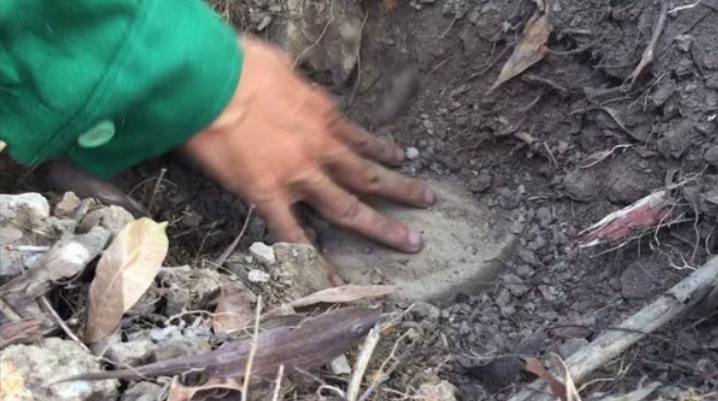 Thông tin mới vụ chôn cất hơn 300 thi thể thai nhi ở nhà máy rác - 2