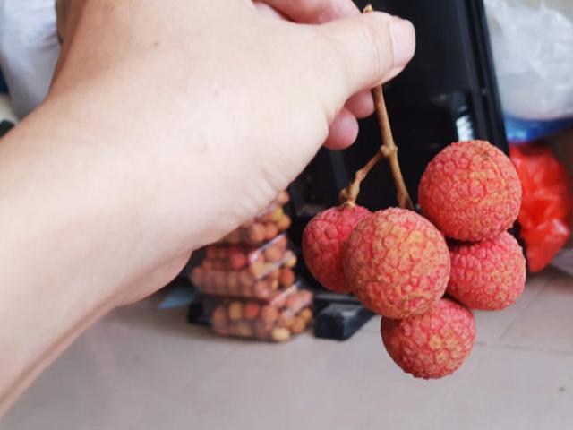 Ẩm thực - Cách bảo quản vải thiều tươi ngon đến Tết