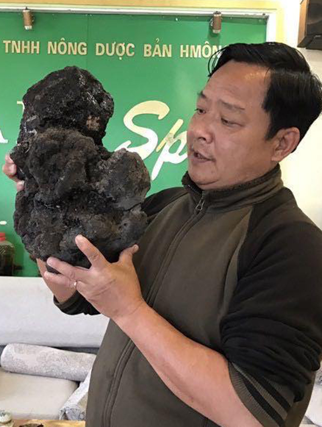 Anh Lê Minh (Sapa, Lào Cai), hiện đang sở hữu bọc huyết lình cho biết, đây là cục Huyết lình lớn nhất từ trước đến nay anh tìm thấy, nặng 8kg.