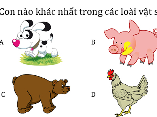 Giáo dục - du học - 6 bài test khiến người xuất sắc nhất cũng phải lắc đầu