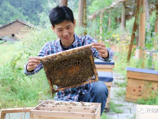 Kinh doanh - Không tìm được việc, chàng trai về quê nuôi ong kiếm vài trăm triệu "ngon ơ"