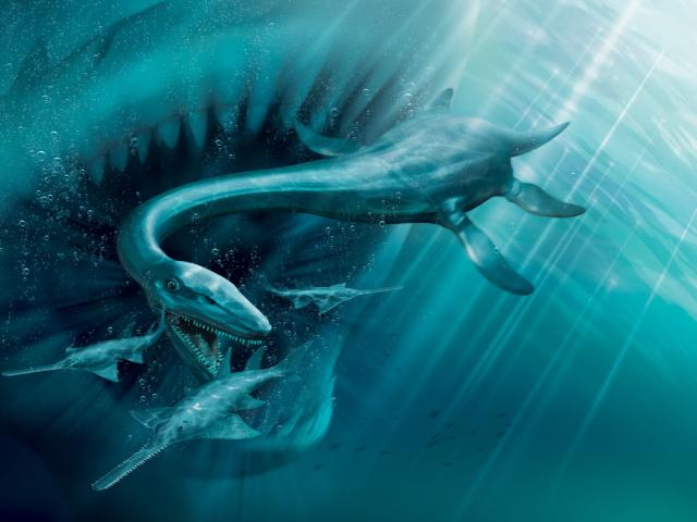 Phi thường - kỳ quặc - Hóa thạch 70 triệu năm hé lộ về "quái vật Loch Ness" lớn chưa từng thấy