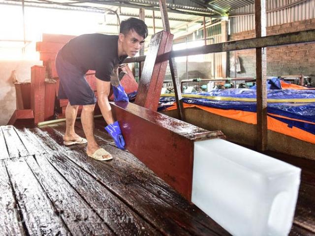 Thị trường - Tiêu dùng - Ảnh, clip: Đột nhập đại công xưởng "vàng lạnh" ở đất vải Lục Ngạn