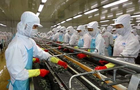 &#34;Vua tôm&#34; Minh Phú bị cáo buộc tránh thuế tại Mỹ, Bộ Công Thương vào cuộc - 1