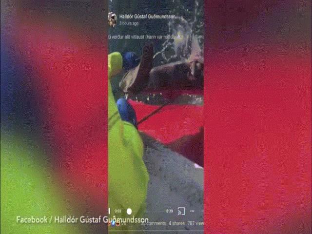 Thế giới - Video: Hãi hùng cảnh ngư dân chặt đứt đuôi cá mập, ném trở lại biển