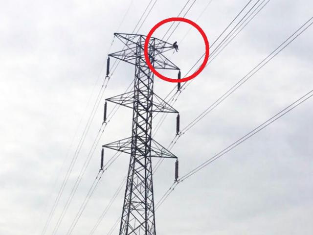 Media - Hãi hùng thợ điện “đu xà thể dục” trên cột điện cao thế