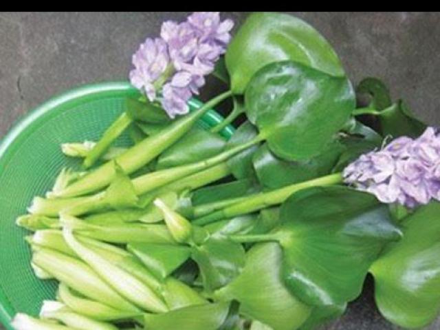 Thị trường - Tiêu dùng - Từ thức ăn cho gia súc đổi đời thành mặt hàng hái ra tiền