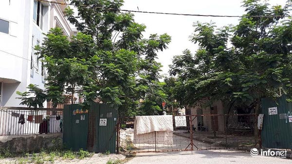 Biệt thự tiền tỷ hoang phế, không người ở giữa Thủ đô - 8