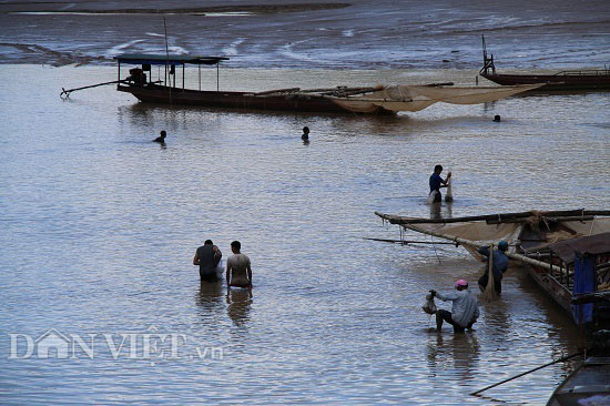 Trúng đậm mùa cá sặc bùn trên sông Đà, cá to nhiều vô kể - 4
