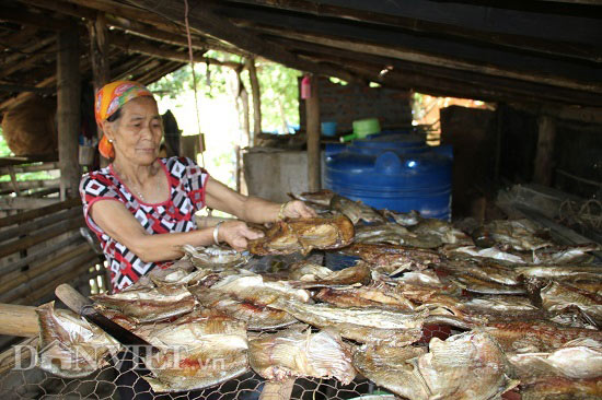 Trúng đậm mùa cá sặc bùn trên sông Đà, cá to nhiều vô kể - 8