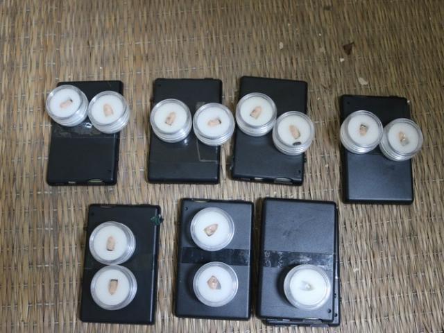 Pháp luật - 9X cung cấp "siêu thiết bị" cho thí sinh gian lận thi cử