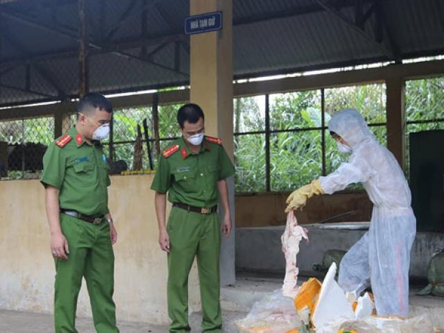 Thị trường - Tiêu dùng - Kinh khủng: Lạng Sơn bắt 6 tạ nầm lợn nhập lậu ướp hóa chất bốc mùi