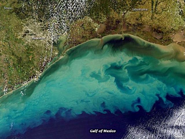 Thế giới - Vùng chết "giết mọi sinh vật sống” đang lan ra 2 vạn km2 ở vịnh Mexico