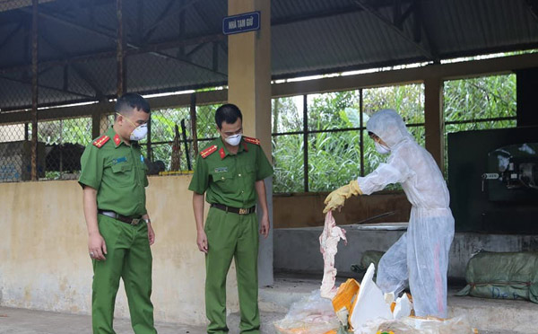 Kinh khủng: Lạng Sơn bắt 6 tạ nầm lợn nhập lậu ướp hóa chất bốc mùi - 1