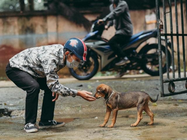 Khôn như trộm chó