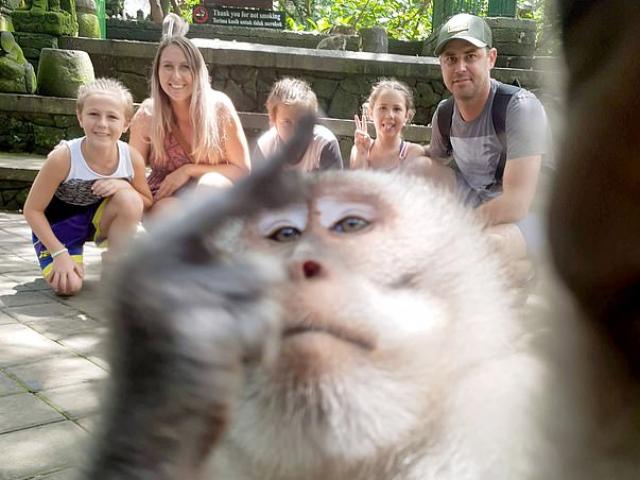 Thế giới - Đi nghỉ mát, gia đình được khỉ chụp "tự sướng" ấn tượng như người