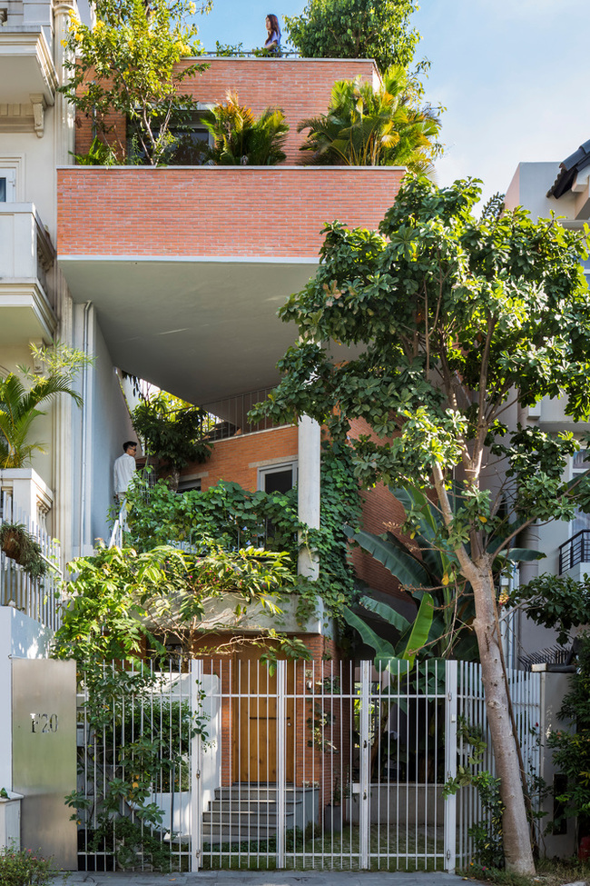 Đây là thiết kế nhà ở phù hợp với khí hậu nhiệt đới, nơi cây xanh và cư dân có thể sống đan xen nhau trong một ngôi nhà.