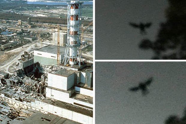 Quái vật huyền thoại xuất hiện ngay trước thảm kịch hạt nhân Chernobyl? - 1