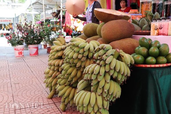 La liệt xoài bự, nấm linh chi "khủng" ở ngày hội nông sản Mường La - 10