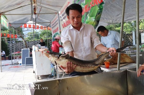 La liệt xoài bự, nấm linh chi "khủng" ở ngày hội nông sản Mường La - 13