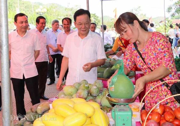 La liệt xoài bự, nấm linh chi "khủng" ở ngày hội nông sản Mường La - 2