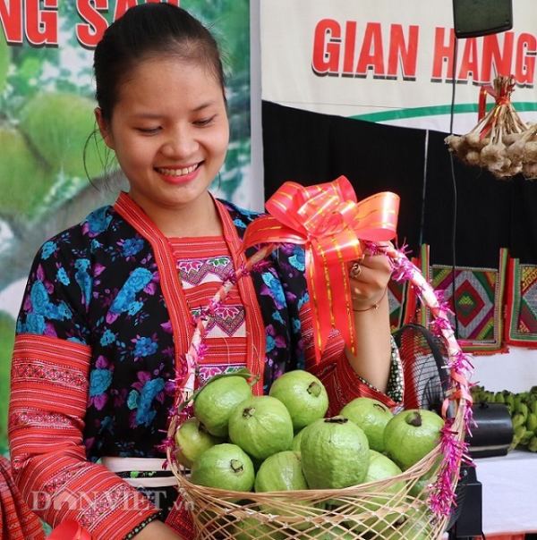 La liệt xoài bự, nấm linh chi "khủng" ở ngày hội nông sản Mường La - 5