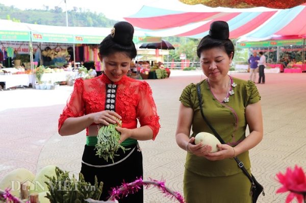 La liệt xoài bự, nấm linh chi "khủng" ở ngày hội nông sản Mường La - 6