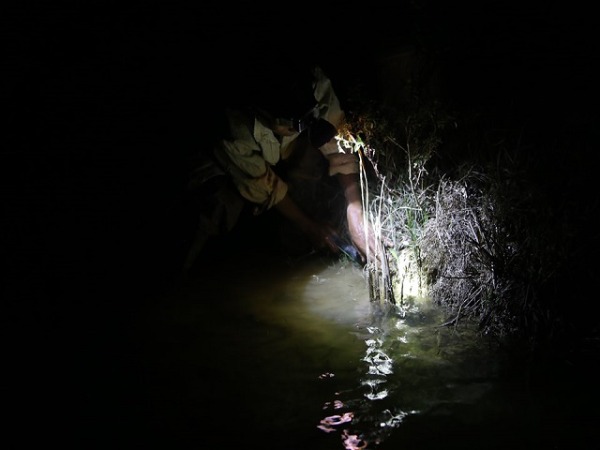 Nắng cháy da thịt: Rọi đèn, lội bùn theo chân "thợ săn" cua đồng đêm - 2