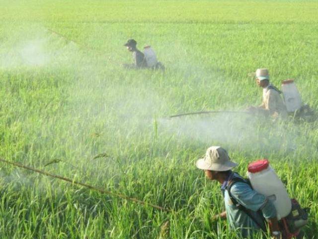 Thị trường - Tiêu dùng - Sốc: VN nhập lượng "khủng" thuốc trừ sâu từ Trung Quốc