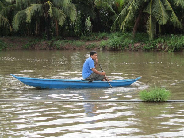 Làm giàu ở nông thôn: Đổi đời nhờ nuôi loài cá bông lau - 1