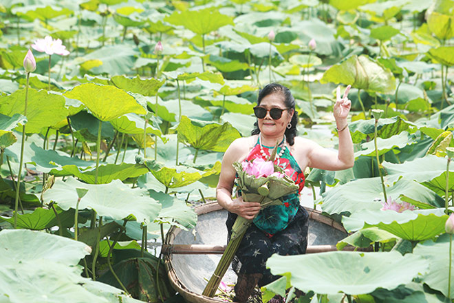 Thiếu nữ hở bạo chen nhau chụp ảnh dưới đầm sen nở rộ - 7