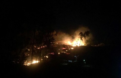 Cháy rừng thông sát trường học, học sinh ào ra dập lửa - 1