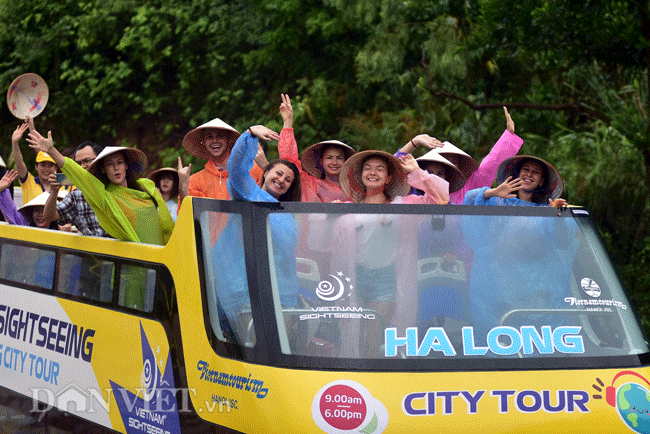 Clip: Khách Tây hào hứng đội mưa đi xe buýt 2 tầng ngắm Hạ Long - 2