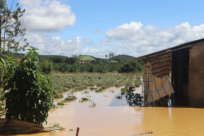 Lâm Đồng: Lũ lớn nhấn chìm nhà dân trong biển nước - 2