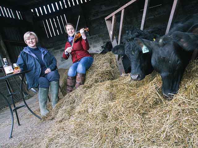 Ẩm thực - Giống bò quý tộc chỉ thích nghe nhạc, massage và luôn có giá "trên trời"