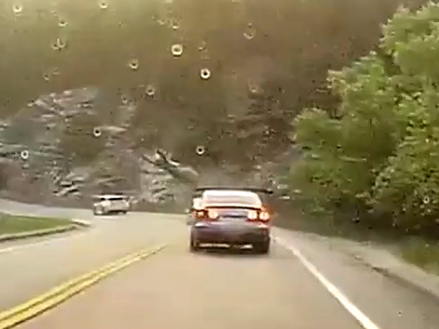 Media - Báo sư tử bất ngờ lao qua đường đâm thẳng vào ô tô 4 chỗ