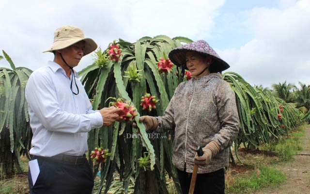 Xuáº¥t kháº©u rau quáº£ sang Trung Quá»c: Háº¥p dáº«n nhÆ°ng váº«n bÃ­ thÃ´ng tin - 3