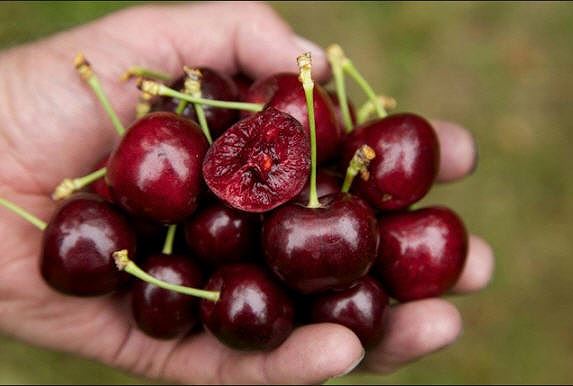 Thực phẩm tuyệt vời giảm đau nhức và cho xương chắc khỏe - 1