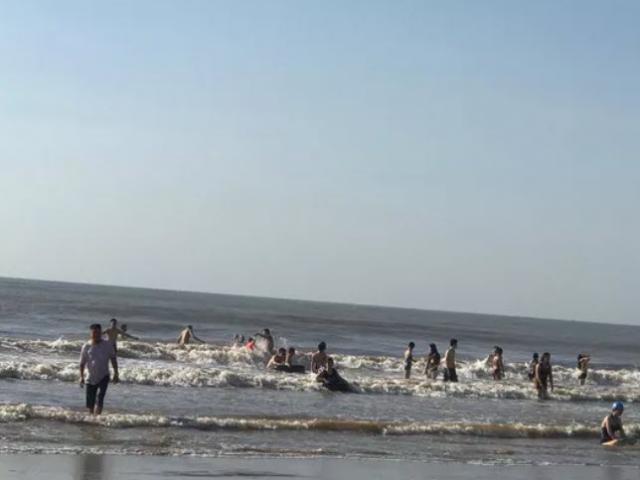 Tin tức trong ngày - 2 du khách chết đuối và mất tích khi đi tắm biển lúc sáng sớm ở Thanh Hóa