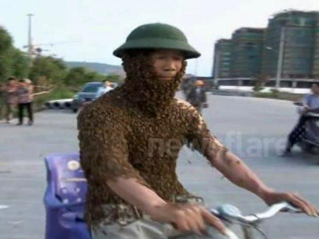 Media - Kinh hãi người đàn ông dùng 50.000 con ong làm "áo giáp"